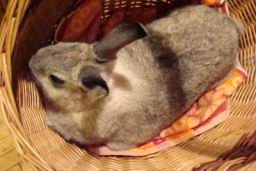 Resize of DSC01999.JPG